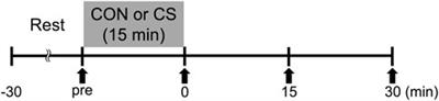 Effects of acute cervical stretching on arterial wall elastic properties